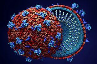 از تَكِ بیولوژیک تا اخرین تیک تاک ساعت جهانی مرگ