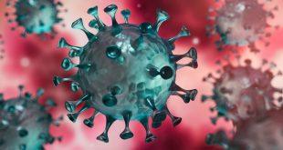 چرا آمارمبتلایان کرونا در سقز بالاست