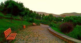 شریان سبز شهر، در پستوی سوداگران نفس های شهر