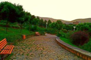 شریان سبز شهر، در پستوی سوداگران نفس های شهر