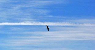 مردی جا مانده از فصل‌های زندگی