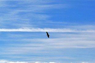 مردی جا مانده از فصل‌های زندگی