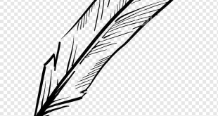 با قلم هایمان دنیا را زندگی می کنیم.