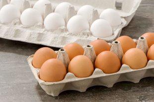 قیمت واقعی هر شانه تخم مرغ ۳۶ هزار تومان