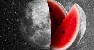 شب یلدا همان انقلاب زمستانی‌ست