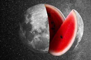 شب یلدا همان انقلاب زمستانی‌ست