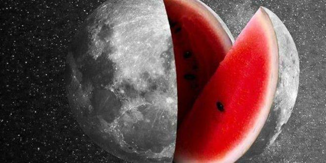 شب یلدا همان انقلاب زمستانی‌ست