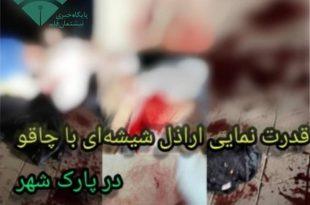 قدرت نمایی اراذل شیشه‌ای با چاقو در پارک شهر