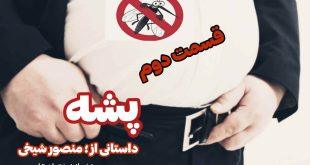 پشه ... قسمت دوم, منصور شیخی, رمان منصور شیخی