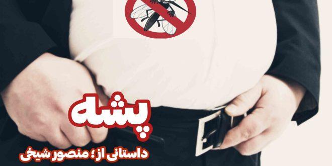 پشه قسمت اول, منصور شیخی, سقز