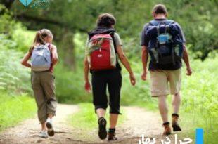 چرا در بهار مدام احساس خستگی می کنید؟