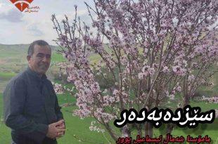 سێزدەبەدەر, شەماڵ ئیسماعیل پوور