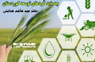چه باید کردهای توسعه کردستان