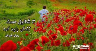 تا شقایق هست زندگی باید کرد . . .