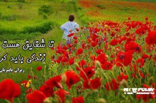 تا شقایق هست زندگی باید کرد . . .