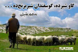 گاو شیرده، گوسفندان شیربرنج‌ده ،منصور شیخی،منصورشیخی،نیشتمان قلم،سقز