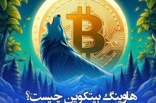 هاوینگ بیتکوین چیست؟