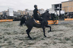 سقز میزبان دومین فستیوال نمایش اسب اصیل کوردی