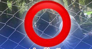 پارک لاله سقز؛ لکه ننگ مدیریت شهری و انتظامی