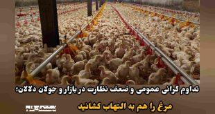 تداوم گرانی عمومی و ضعف نظارت در بازار و جولان دلالان؛ مرغ را هم به التهاب کشانید