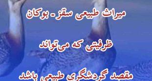 میش‌مرغ؛ میراث طبیعی سقز ـ بوکان ظرفیتی که می‌تواند مقصد گردشگری طبیعی باشد