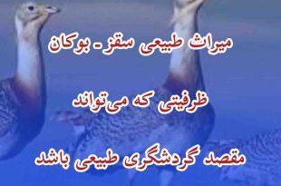 میش‌مرغ؛ میراث طبیعی سقز ـ بوکان ظرفیتی که می‌تواند مقصد گردشگری طبیعی باشد